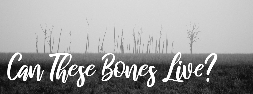 Can These Bones Live